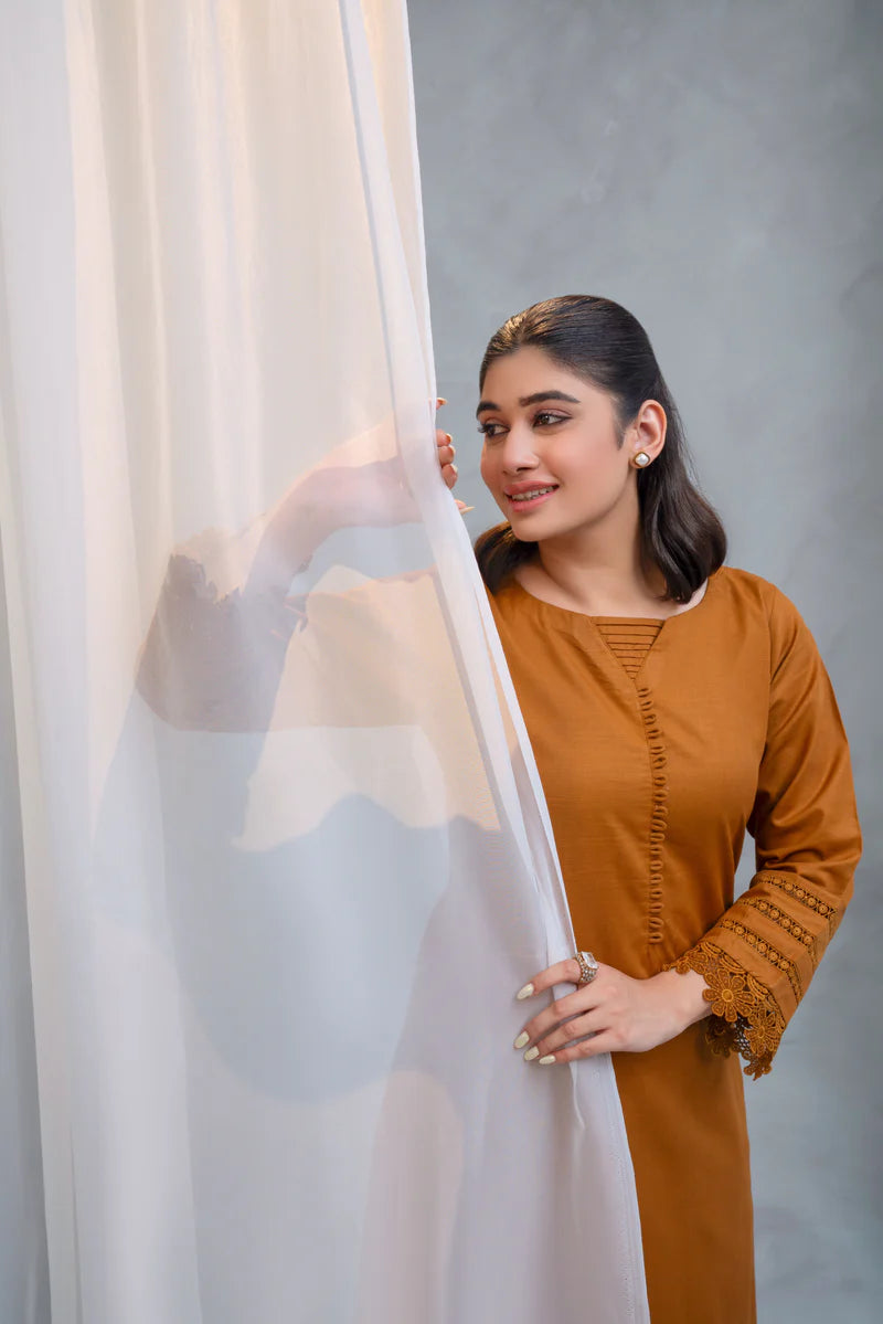 3 Piece - Slub Khaddar Stitched Dress-224