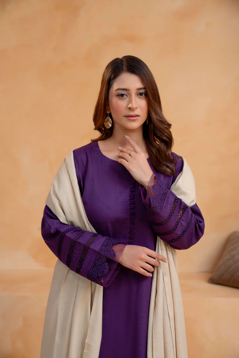 3 Piece - Slub Khaddar Stitched Dress-223