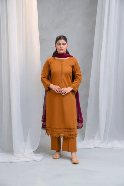 3 Piece - Slub Khaddar Stitched Dress-224